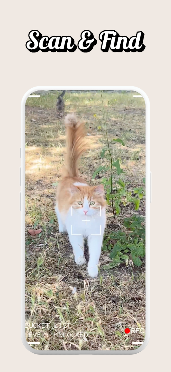 Cat ID Mockup